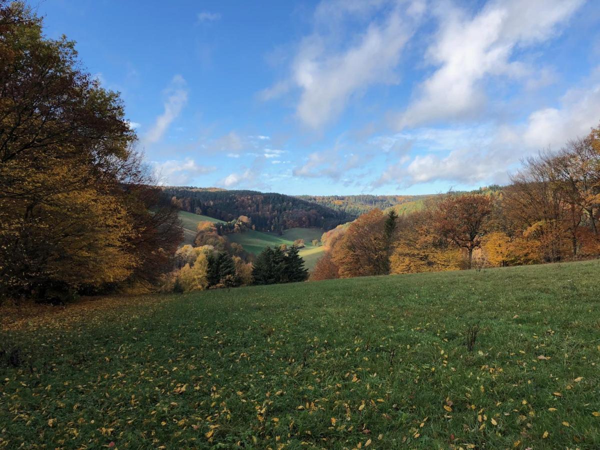 Burg Freienstein Blick 4 Sterne Mit Sauna Gammelsbach Eksteriør billede