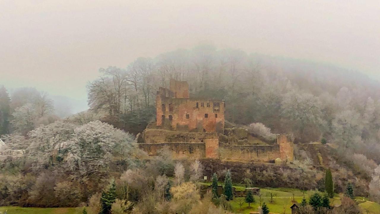 Burg Freienstein Blick 4 Sterne Mit Sauna Gammelsbach Eksteriør billede