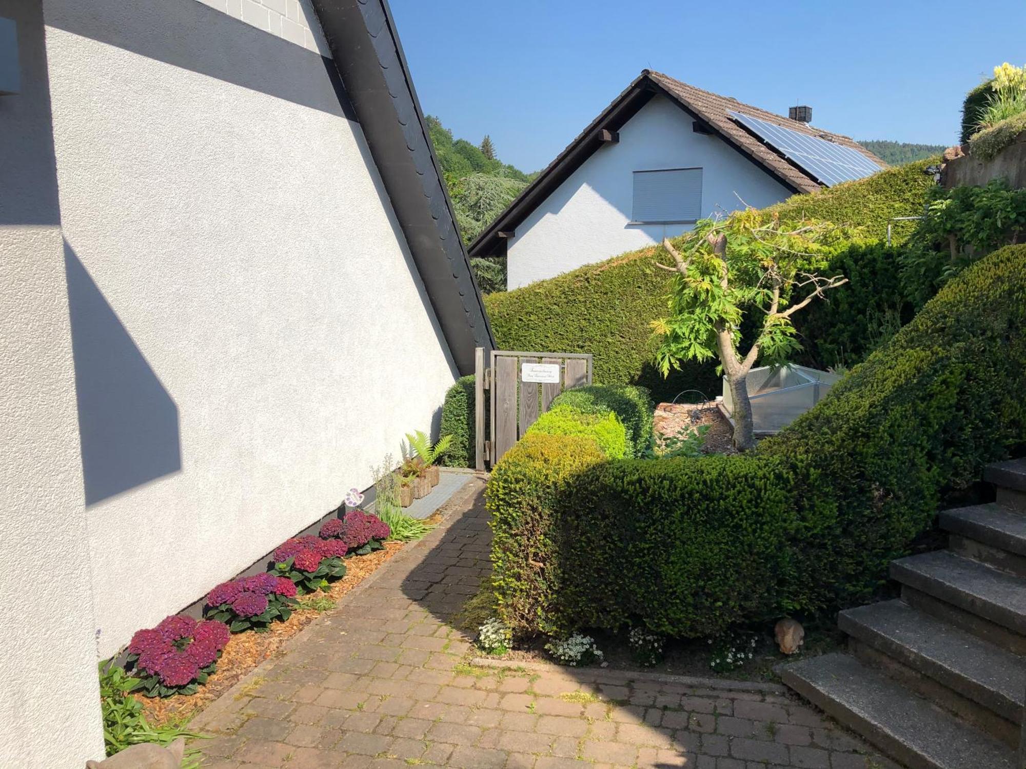 Burg Freienstein Blick 4 Sterne Mit Sauna Gammelsbach Eksteriør billede